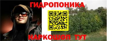 шишки Рузаевка