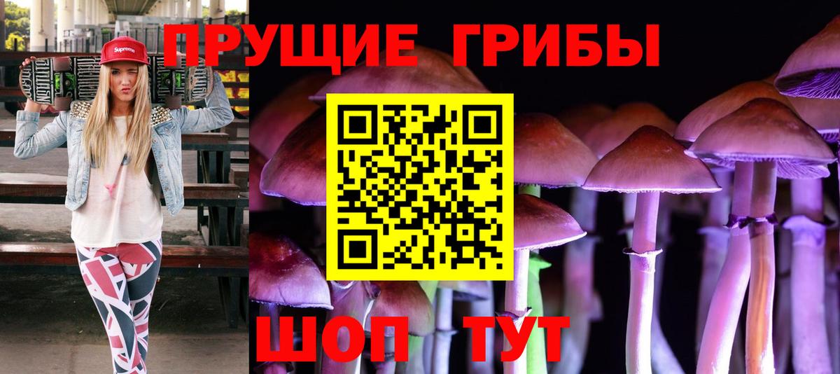 Галлюциногенные грибы Psilocybe Псков