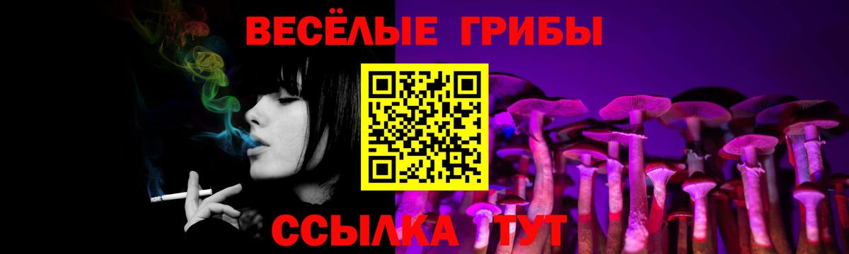 Псков  Галлюциногенные грибы Psilocybe  Вход с VPN 